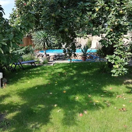 Ferienwohnung Lotti Wittenberg Ngoại thất bức ảnh