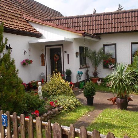 Ferienwohnung Lotti Wittenberg Ngoại thất bức ảnh