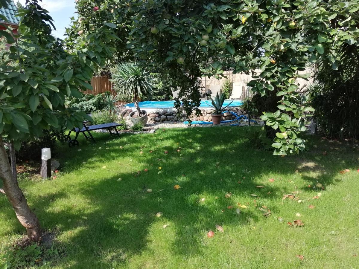 Ferienwohnung Lotti Wittenberg Ngoại thất bức ảnh