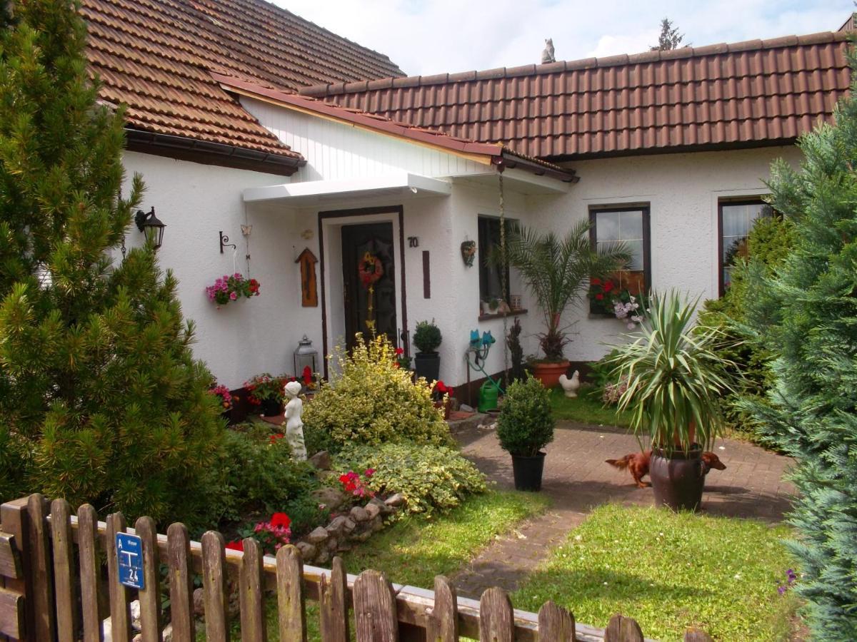 Ferienwohnung Lotti Wittenberg Ngoại thất bức ảnh